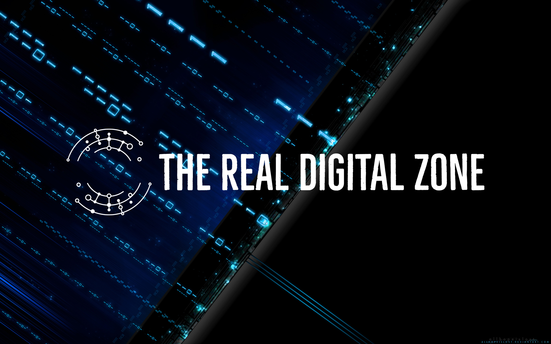Innovative Digital Solutions: The Real Digital Zone's Comprehensive Services